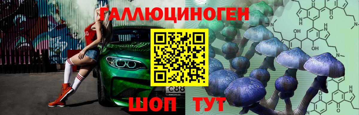 Галлюциногенные грибы Psilocybine cubensis  Вход с VPN  Рассказово 